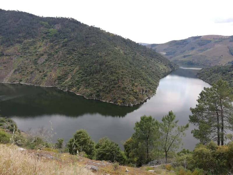 Private Douro Wine Experience - Full Day in the Douro Valley - FAQ