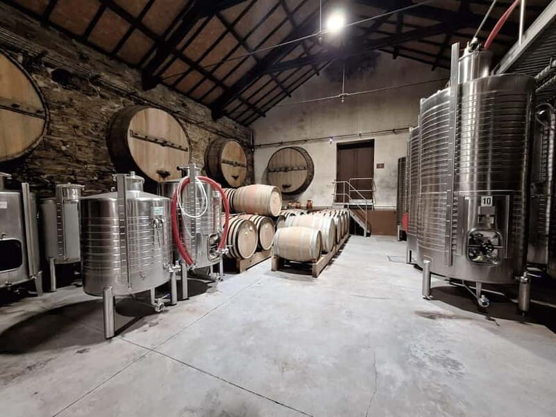 Private Douro Wine Experience - Full Day in the Douro Valley - Additional Information