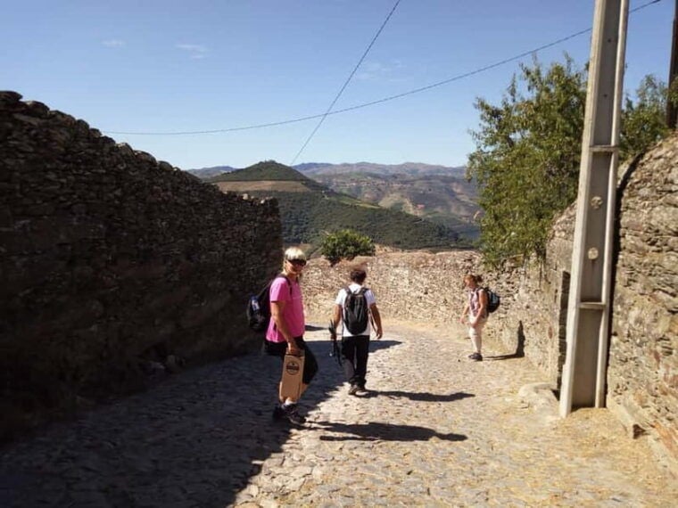 Private Douro Wine Experience - Full Day in the Douro Valley - The Experience and Practical Details