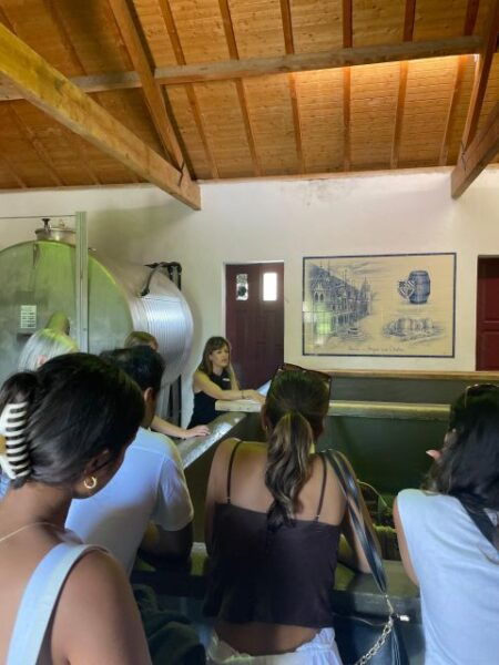 Private Douro Wine Tour - Frequently Asked Questions