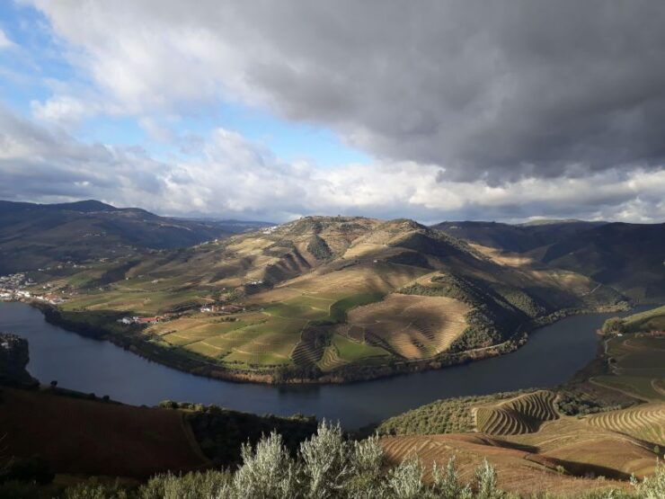 Private Douro Wine Tour - Pricing and Duration