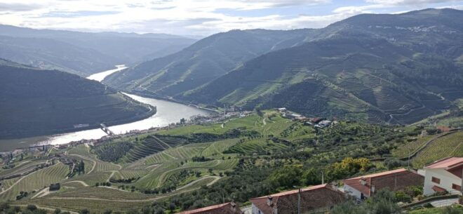 Private Douro Wine Tour - Itinerary