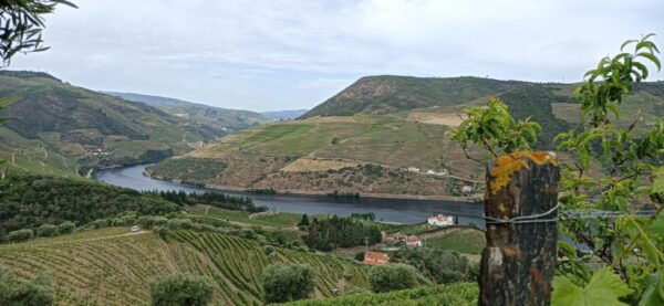 Private Douro Wine Tour - Inclusions