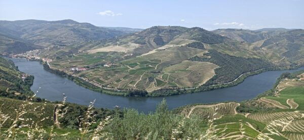Private Douro Wine Tour - Frequently Asked Questions