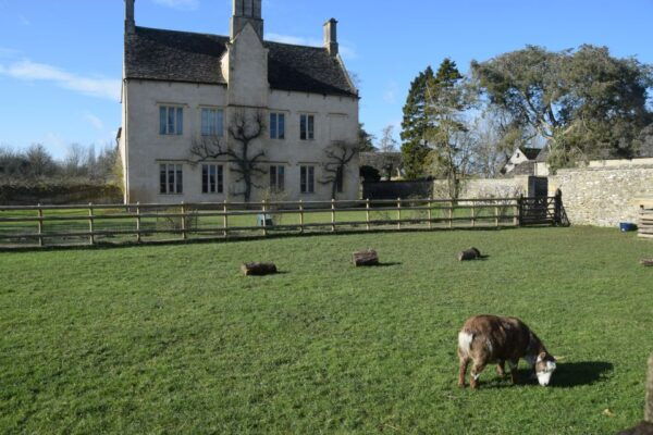 Private Downton Abbey Filming Locations Tour by Black Taxi - Additional Information