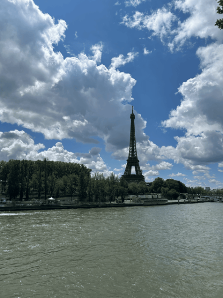 Private Driver Airport to Hotel in Paris - Booking Process