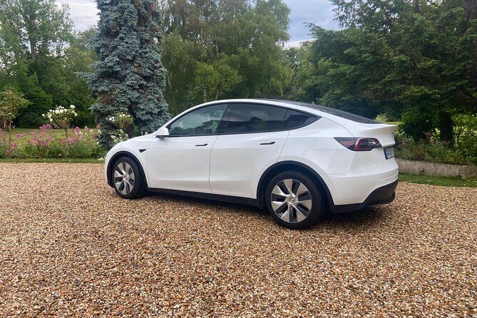 Private Driver Between Paris and Charles De Gaulle / Orly Airport - Customer Testimonials and Reviews