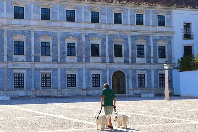 Private Driver Évora - Elvas Full Day Customizable - Benefits of Private Driver Service