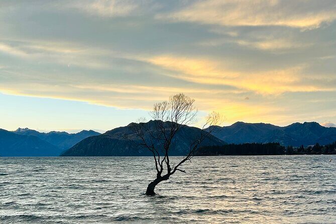 Private Driver Hire  Full-Day Touring-Auckland/Rotorua/Hamilton - Private Driver Hire Full-Day Touring in Auckland, Rotorua, or Hamilton: An Honest Review