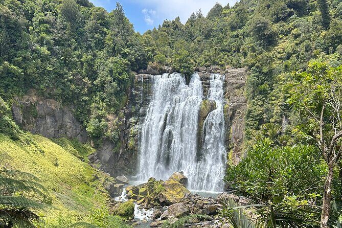 Private Driver Hire  Full-Day Touring-Auckland/Rotorua/Hamilton - Good To Know