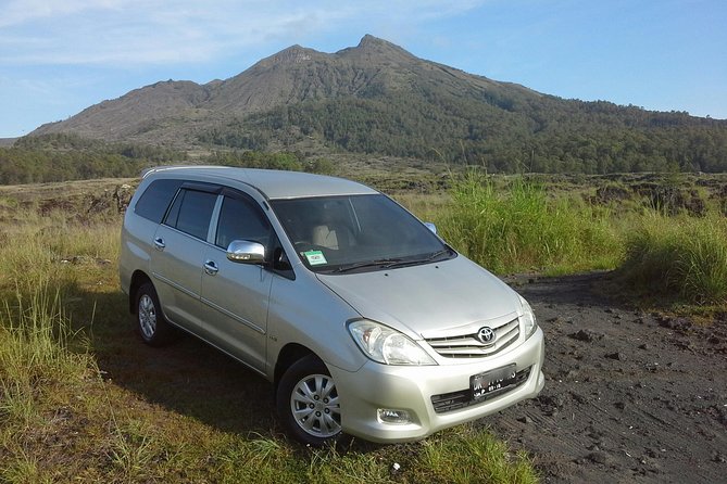 Private Driver in Bali With English Speaking - Pricing and Booking Details