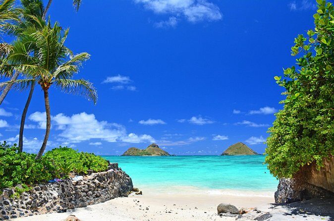 Private Driving Tour of Oahu Scenic South Shore - What’s Included and What’s Not