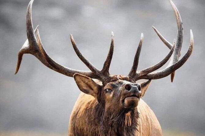 Private Driving Tour of the Rocky Mountain National Park - Who Should Consider This Tour?