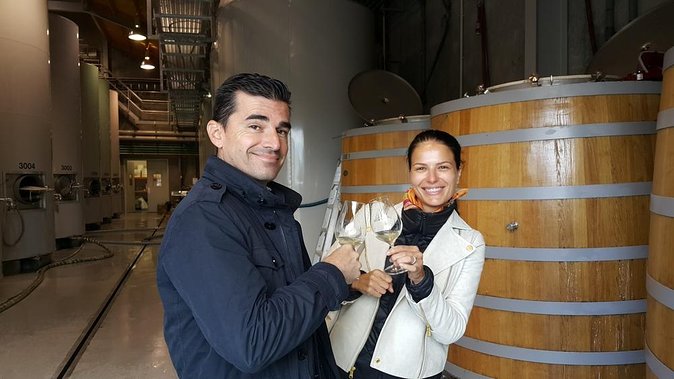 Private Driving Wine Tour (Full Day) in the Marlborough Region - Wine Tasting Experience