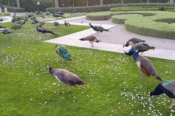 PRIVATE Dubai City Tour up to 6 Person (Museum Souk Atlantis Beach & More) - The Sum Up