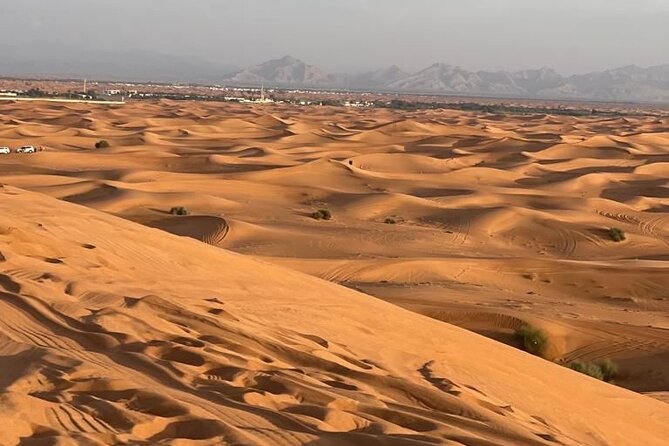 Private Dubai Desert Safari Tour - Cancellation Policy