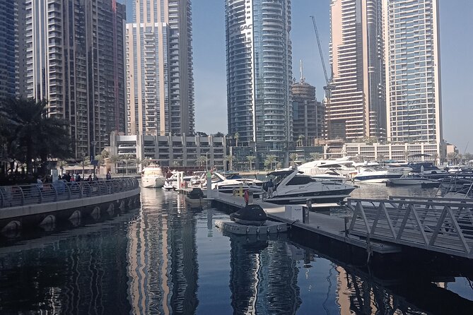 Private Dubai Full Day Tour With Professional Driver - Professional Driver Services