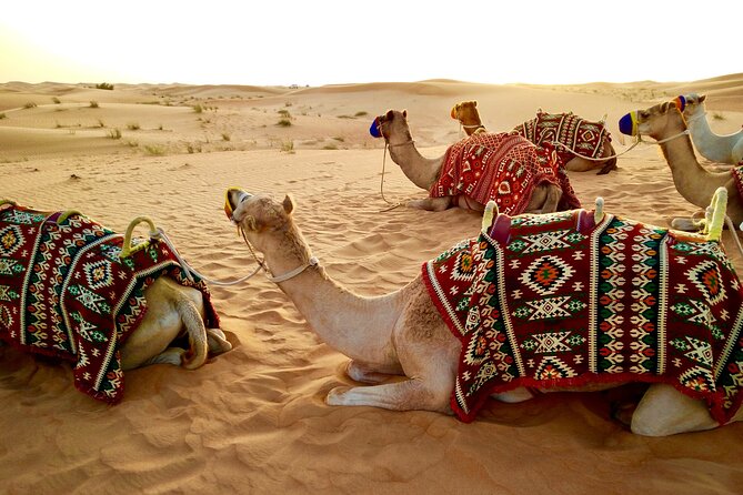 Private Dubai Red Dune Desert Safari - Meeting and Pickup Details