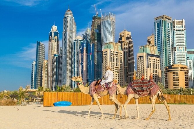 Private Dubai Sightseeing Tour Old and Modern Dubai - Visit to Modern Dubai