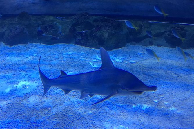 Private Dubai Tour From Dubai Hotels (Half Day). - Start Time