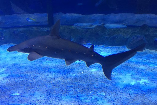 Private Dubai Tour From Dubai Hotels (Half Day). - Directions