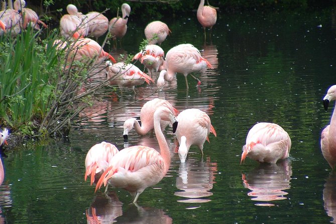 Private Dublin Tour for Families With a Local, 100% Personalized - Testimonials