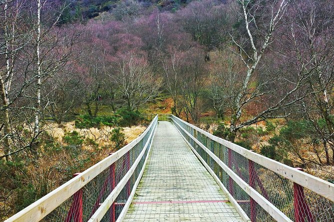 Private Dublin Tour for Families With a Local, 100% Personalized - Common Questions