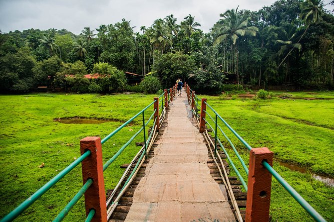 Private Dudhsagar Waterfalls & Spice Plantation With Lunch From Mormugao Port - Additional Information