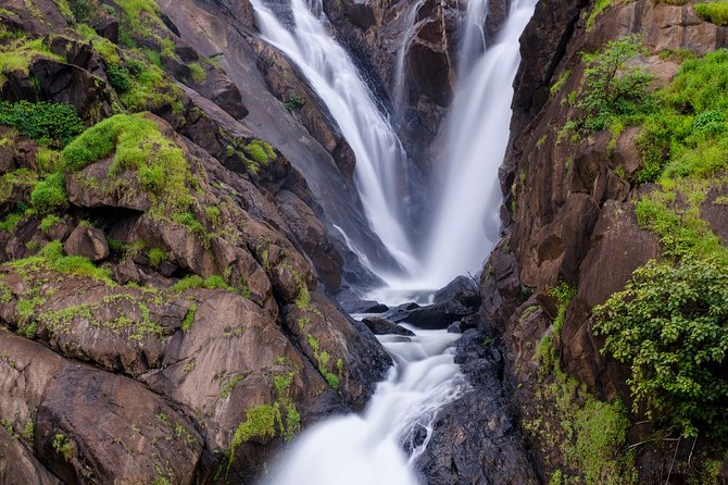 Private Dudhsagar Waterfalls & Spice Plantation With Lunch From Mormugao Port - Reviews and Ratings
