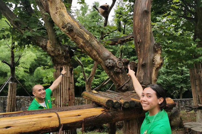 Private Dujiangyan Panda Base Panda Rescue Center Volunteer for a Day - Overview and Activities