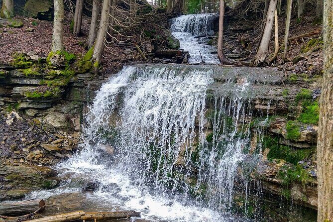 Private Duncan/Metcalfe Caves Hike, Collingwood/Blue Mountain - Review Insights and Anecdotes