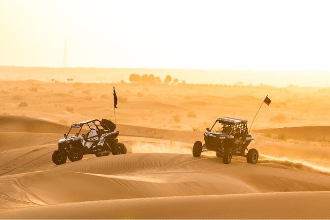 Private Dune Buggy Tour Abu Dhabi - Pricing and Terms