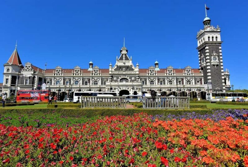 Private Dunedin City Highlights and Otago Peninsula Day Tour - The Sum Up