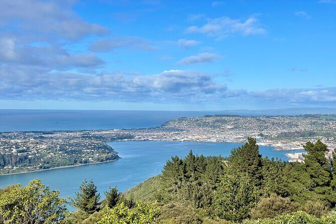 Private Dunedin & Otago Peninsula Day Tour Up to 4 - Who Would Love This Tour?