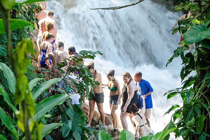 Private Dunn River Falls Tour From Negril - Good To Know