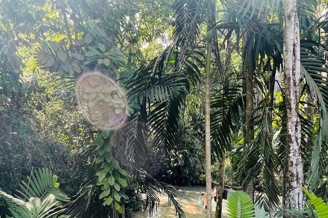 Private Dunn's River and Blue Hole Experience from Montego Bay - FAQ