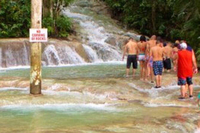 Private Dunn's River and Blue hole tour from Ocho Rios - Authentic insights from reviews