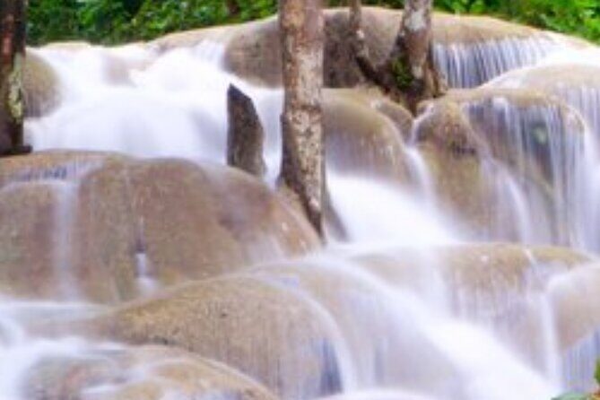 Private Dunn's River and Blue hole tour from Ocho Rios - Who should consider this tour?