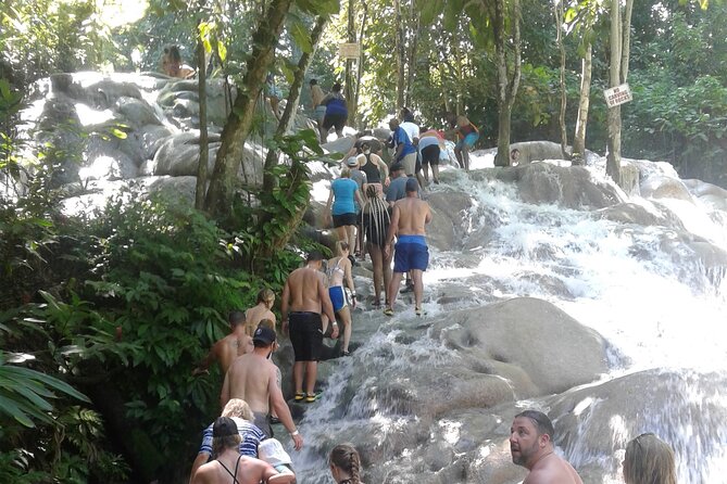 Private Dunns River Blue Hole and Tubing Tour From Montego Bay - Start Time and Opening Hours