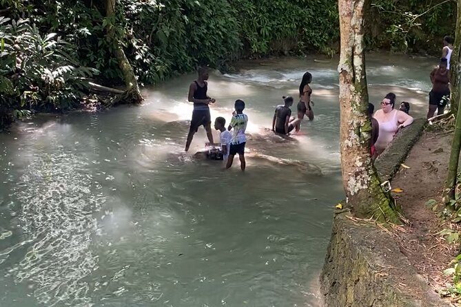 Private Dunns River Falls and Horse Back Riding - Pricing and Booking Information