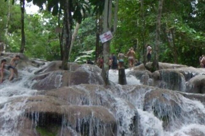 Private Dunn's River Falls and Tubing Tour From Ocho Rios - Final Thoughts: Why Choose This Tour?
