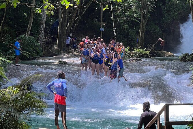 Private Dunns River Falls & Bluehole tour from Montego Bay - Who Should Consider This Tour?