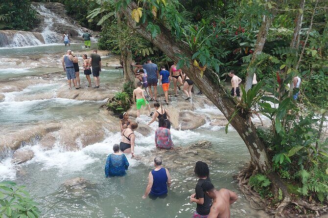 Private Dunn's River Falls Tour from Falmouth - Practical Tips for Your Dunn’s River Adventure
