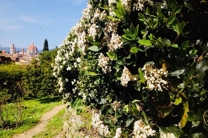 Private Duomo Complex Guided Tour With Cupola Entry Tickets - Reviews