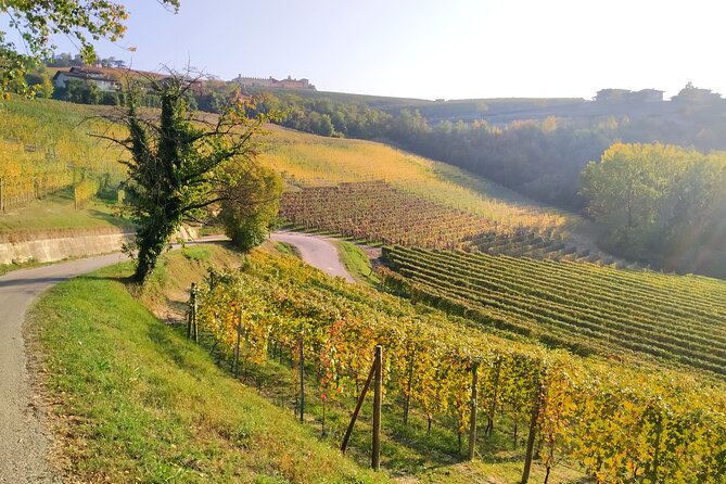 Private E-Bike Tour " Langhe Del Barbaresco " - Asphalt Only - Common Questions