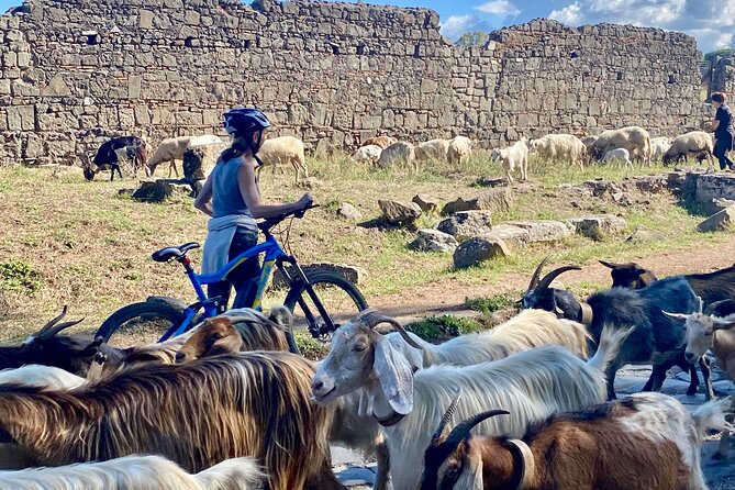 Private E-bike Tour of Via Appia, Catacombs and Aqueducts - Safety Considerations