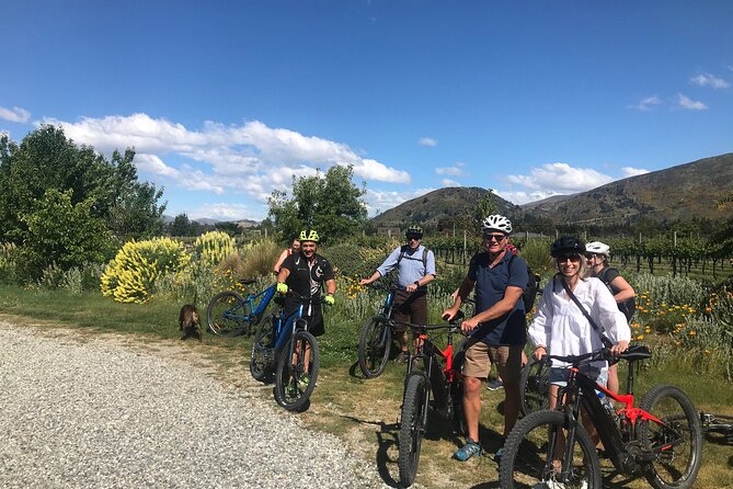 Private E-Bike Wine Tour in Wanaka - Tour Details and Requirements