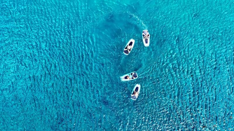 Private E-Board Tour of Moorea Lagoon - Good To Know