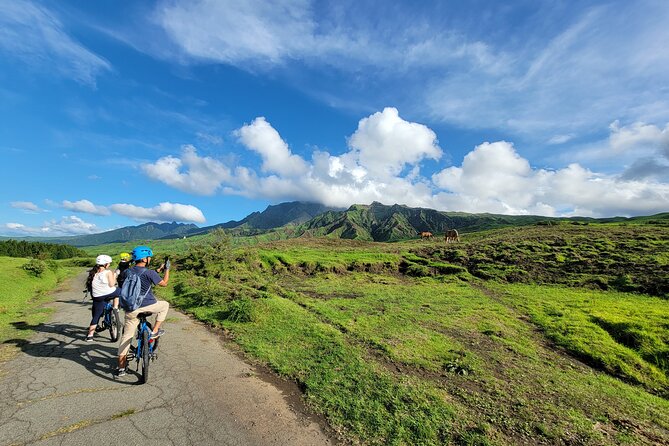 Private E-Mtb Guided Cycling Around Mt. Aso Volcano & Grasslands - Tour Details and Requirements