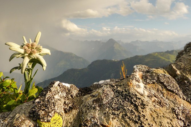 Private Eagles Nest & the Hills Are Alive - The Sum Up